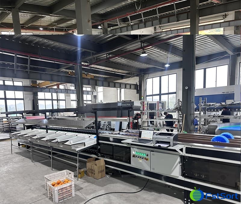 images/1734074503009fruit sorting machine.jpg